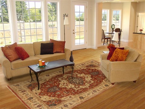Serapi Brown Hand Knotted 60 X 91 Area Rug 250-19007 Image 4