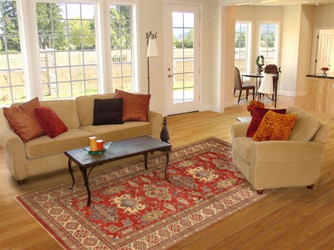 Kazak Red Hand Knotted 65 X 90  Area Rug 250-19008 Image 4