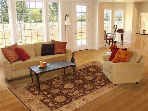 Agra Brown Hand Knotted 60 X 91 Area Rug 250-19036 Image 4