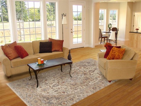 Serapi Grey Hand Knotted 511 X 91  Area Rug 250-19041 Image 4