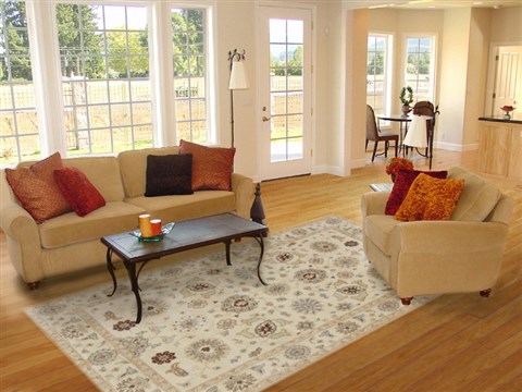 Ziegler Beige Hand Knotted 60 X 90 Area Rug 250-19043 Image 4
