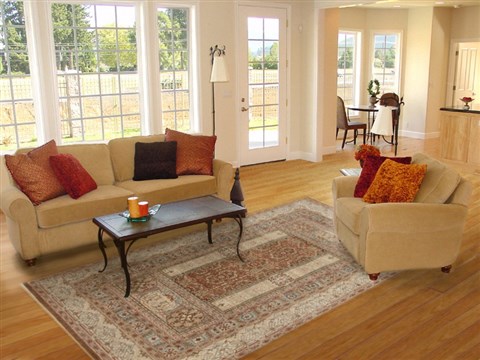 Serapi Brown Hand Knotted 62 X 93  Area Rug 250-19053 Image 4