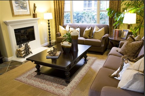 Serapi Brown Hand Knotted 62 X 93  Area Rug 250-19053 Image 2