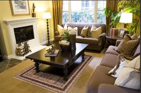 Chobi Brown Hand Knotted 511 X 89  Area Rug 250-19056 Image 2