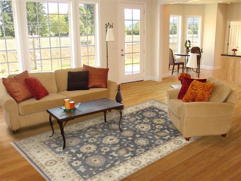 Ziegler Blue Hand Knotted 61 X 90 Area Rug 250-19058 Image 4