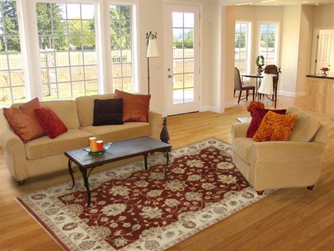 Ziegler Red Hand Knotted 60 X 810  Area Rug 250-19063 Image 4