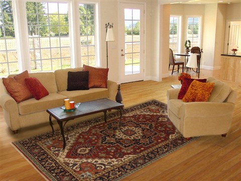 Serapi Red Hand Knotted 60 X 91  Area Rug 250-19072 Image 4