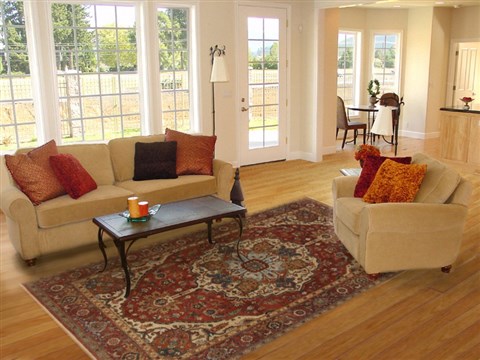 Serapi Orange Hand Knotted 511 X 93  Area Rug 250-19080 Image 4