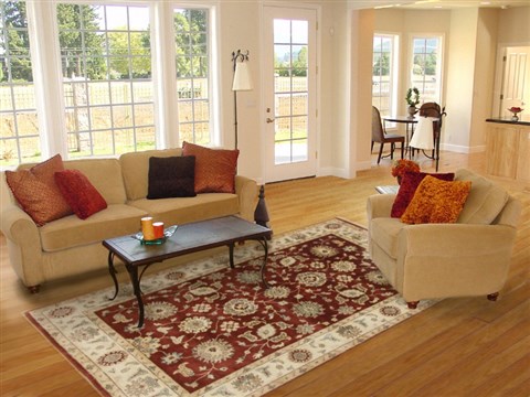 Ziegler Red Hand Knotted 61 X 90  Area Rug 250-19081 Image 4