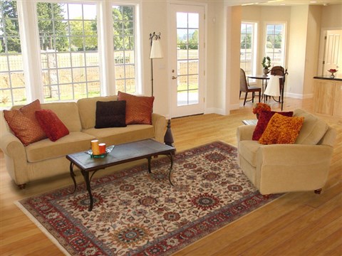 Serapi Red Hand Knotted 62 X 91  Area Rug 250-19085 Image 4