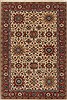 Serapi Red Hand Knotted 62 X 91  Area Rug 250-19085 Thumb 0