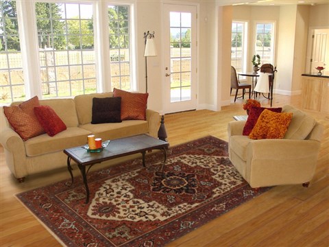 Serapi Red Hand Knotted 60 X 89  Area Rug 250-19089 Image 4