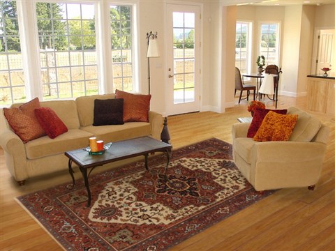 Serapi Red Hand Knotted 511 X 90  Area Rug 250-19096 Image 4