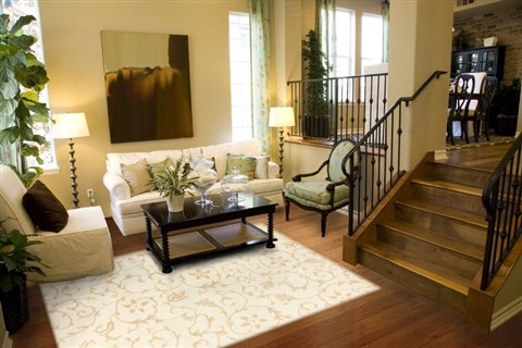 Anadol Alara Beige 68 X 99 Area Rug 103886 300-19148 Image 3