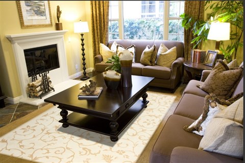 Anadol Alara Beige 68 X 99 Area Rug 103886 300-19148 Image 2