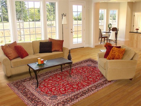 Isfahan Red Hand Knotted 68 X 102  Area Rug 253-19162 Image 4