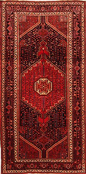 Hamedan Red Hand Knotted 5'9" X 11'5"  Area Rug 100-19163
