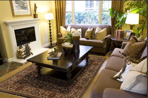 Anadol Jahan Black 80 X 100 Area Rug 083925 300-19239 Image 2