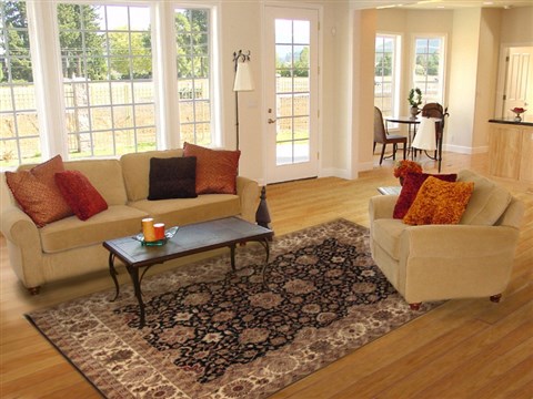 Anadol Sivas Brown 81 X 101 Area Rug 109427 300-19246 Image 4