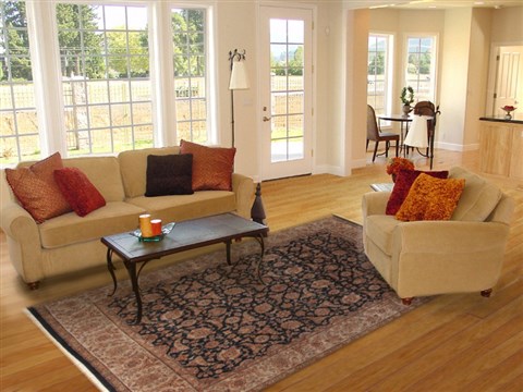 Anadol Shah Black 81 X 98 Area Rug 090212 300-19249 Image 4