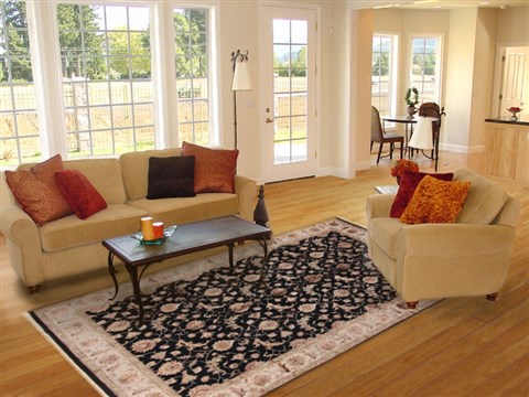 Anadol Imperial Black 67 X 103 Area Rug 118948 300-19256 Image 4