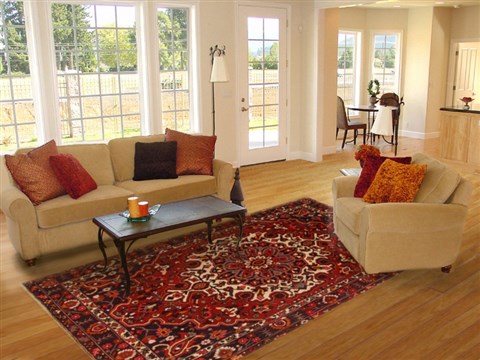 Bakhtiar Red Hand Knotted 611 X 100 Area Rug 250-19279 Image 4