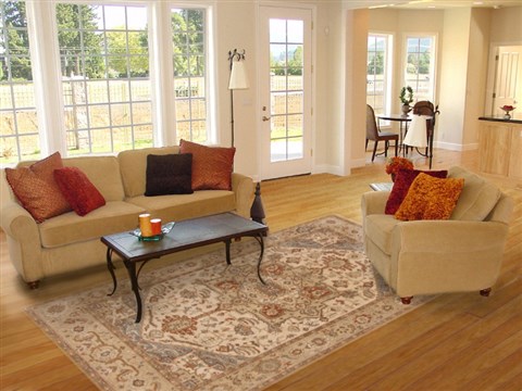 Serapi Beige Hand Knotted 79 X 103 Area Rug 250-19291 Image 4