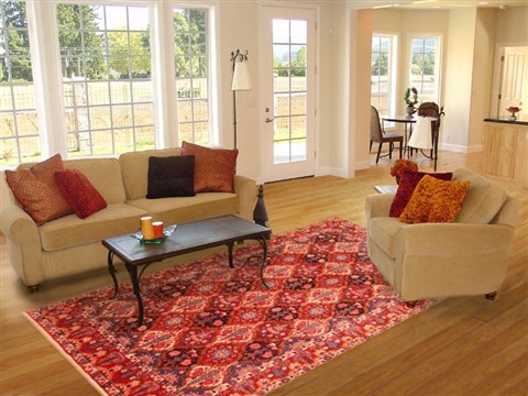 Bakhtiar Red Hand Knotted 70 X 100 Area Rug 100-19302 Image 4