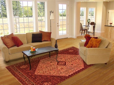 Abadeh Red Hand Knotted 69 X 911 Area Rug 100-19316 Image 4