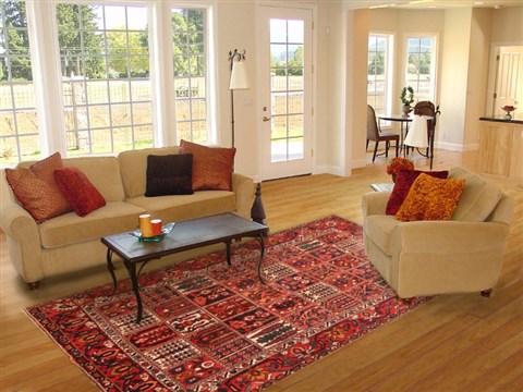 Bakhtiar Red Hand Knotted 611 X 98 Area Rug 100-19317 Image 4