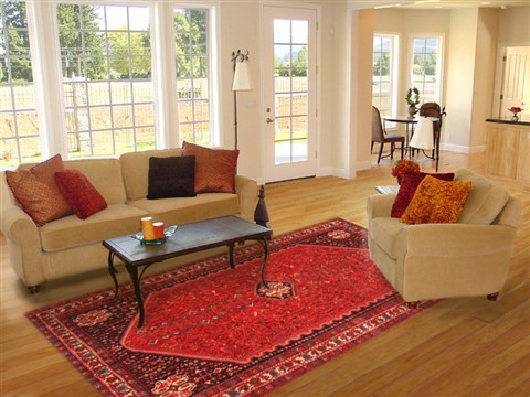 Abadeh Red Hand Knotted 67 X 911 Area Rug 100-19322 Image 4