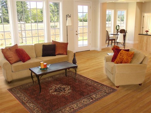 Bidjar Orange Hand Knotted 50 X 72 Area Rug 250-19374 Image 5