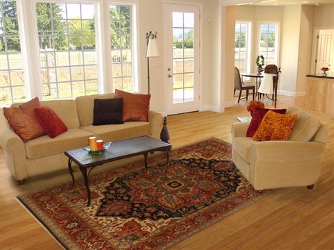 Serapi Orange Hand Knotted 80 X 100 Area Rug 250-19393 Image 4