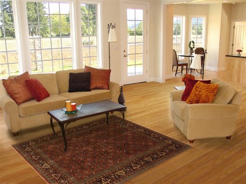 Herati Orange Hand Knotted 50 X 611 Area Rug 250-19413 Image 5