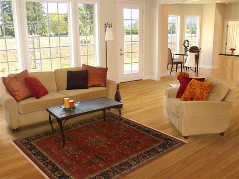 Sarouk Orange Hand Knotted 50 X 69 Area Rug 250-19447 Image 5