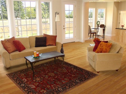 Mashad Red Hand Knotted 52 X 71  Area Rug 250-19449 Image 5