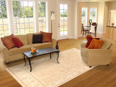 Anadol Sultan Beige 711 X 108 Area Rug 113632 300-19456 Image 4