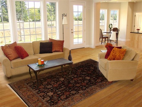Kashmar Black Hand Knotted 711 X 99 Area Rug 250-19498 Image 4