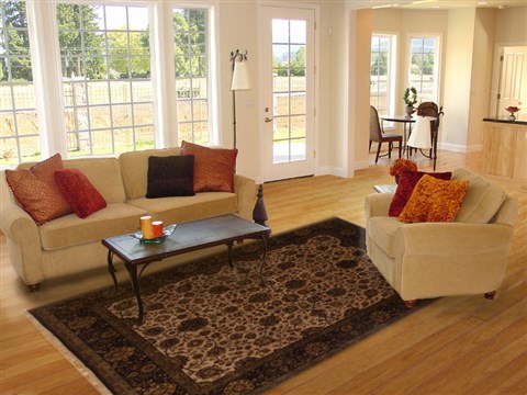 Kashmar Brown Hand Knotted 80 X 911 Area Rug 250-19502 Image 4