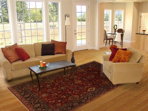 Sarouk Red Hand Knotted 711 X 100 Area Rug 250-19507 Image 4