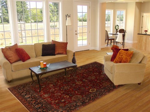 Sarouk Red Hand Knotted 80 X 100 Area Rug 250-19516 Image 4