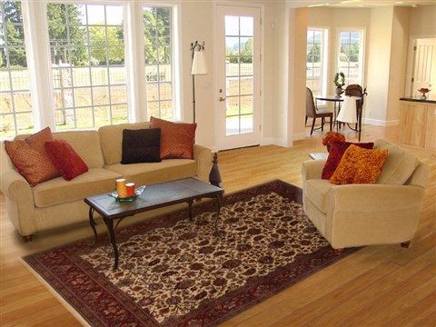 Kashmar Beige Hand Knotted 82 X 911 Area Rug 250-19518 Image 4