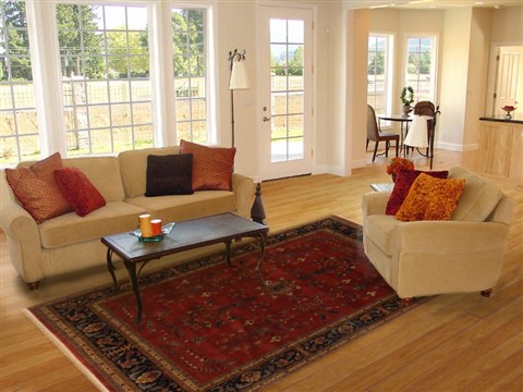 Sarouk Red Hand Knotted 711 X 910 Area Rug 250-19554 Image 4