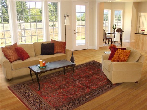 Sarouk Red Hand Knotted 80 X 100 Area Rug 250-19561 Image 4