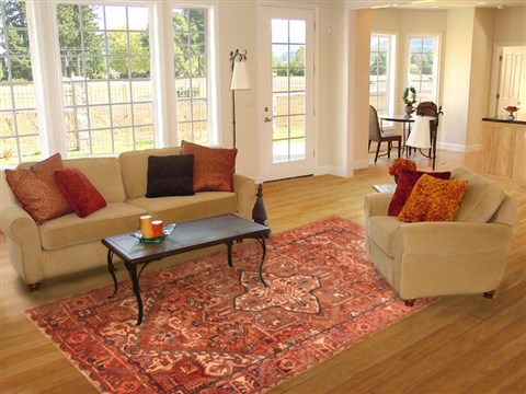 Heriz Red Hand Knotted 70 X 98 Area Rug 100-19621 Image 4
