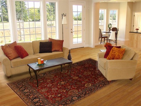 Sarouk Red Hand Knotted 81 X 102  Area Rug 250-19647 Image 4