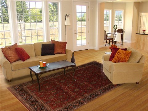 Kashmar Red Hand Knotted 710 X 99 Area Rug 250-19691 Image 4
