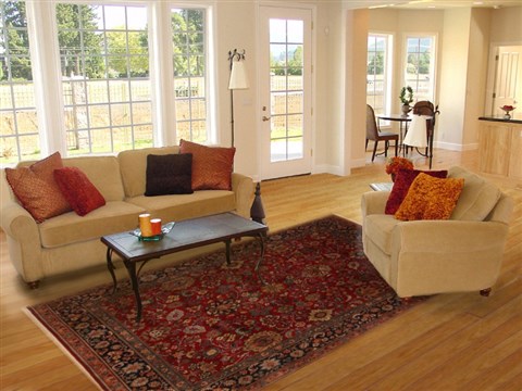Sarouk Red Hand Knotted 711 X 102 Area Rug 250-19696 Image 4