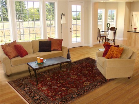 Sarouk Red Hand Knotted 711 X 103 Area Rug 250-19702 Image 4