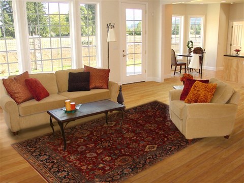 Sarouk Red Hand Knotted 711 X 910  Area Rug 250-19706 Image 4